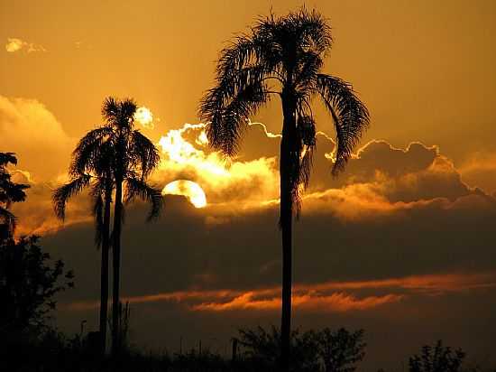 PR DO SOL NO RECANTO DOS CORDEIROS EM BALNERIO GAIVOTA-SC-FOTO:MARINOISOPPO - BALNERIO GAIVOTA - SC