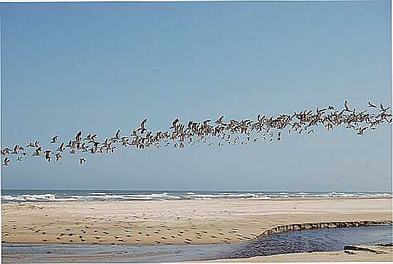 PRAIA DAS GAIVOTAS EM BALNERIO GAIVOTA-SC-FOTO:MARLON ANTONELLI - BALNERIO GAIVOTA - SC