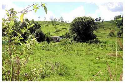 REA RURAL-FOTO: IVOGR  - BARRA BONITA - SC