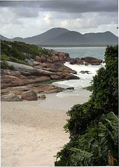 PRAINHA-FOTO:GERMANO SCHR  - BARRA DA LAGOA - SC