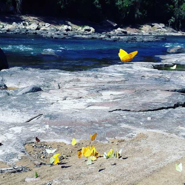 POR MORENA_DA_PRATA - BARRA DA PRATA - SC