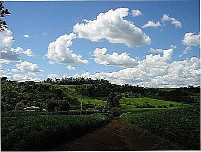 FAZENDA OURO-FOTO:LUCIANO ANGONESE  - BARRA GRANDE - SC