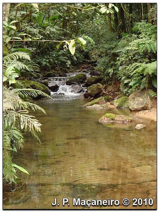 BLUMENAU-SC-RIACHO MINAS DE PRATA-FOTO:J. P. MAANEIRO - BLUMENAU - SC