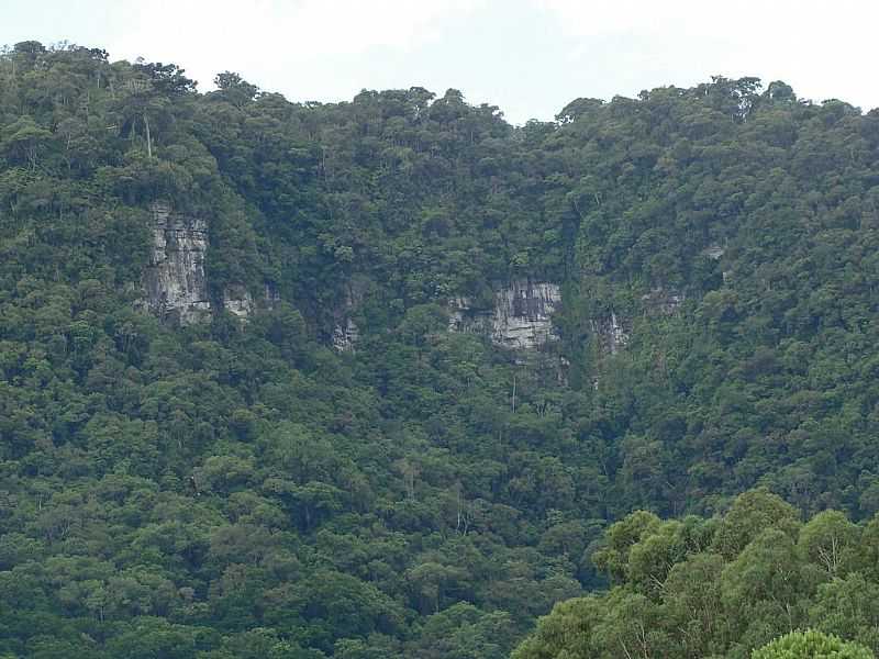 BOM RETIRO-SC-SERRA DAS CACHOEIRAS-FOTO:DARIO LINS - BOM RETIRO - SC