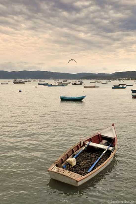 ENSEADA DE ZIMBROS EM BOMBINHAS-SC-FOTO:GERMANO SCHR - BOMBINHAS - SC