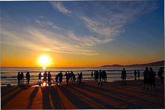 PESCA DA TAINHA EM BOMBINHAS-SC-FOTO:CARLOS COLONETTI NET - BOMBINHAS - SC