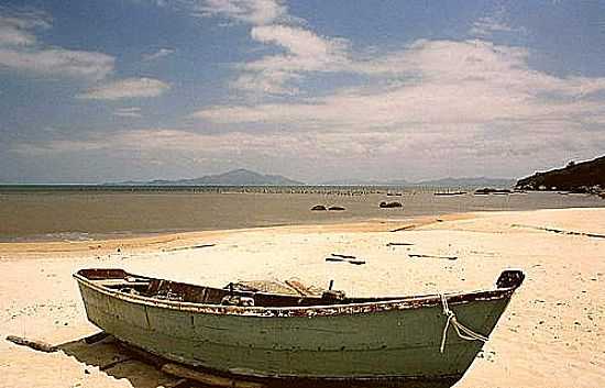 PRAIA DE ZIMBROS E AO FUNDO A ILHA DE FLORIANPOLIS EM BOMBINHAS-SC-FOTO:WOLFGANG WODECK - BOMBINHAS - SC