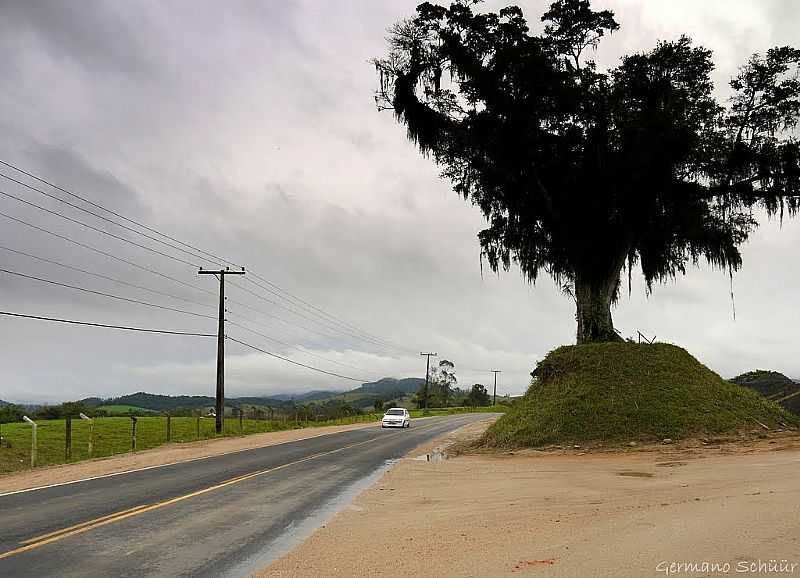 RODOVIA SC-482 EM BRAO DO NORTE, SC - POR GERMANO SCHR - BRAO DO NORTE - SC