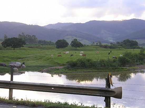 VISTA DE REA RURAL DE BRAO DO NORTE-FOTO:CARLINHOS ELETRNICA - BRAO DO NORTE - SC