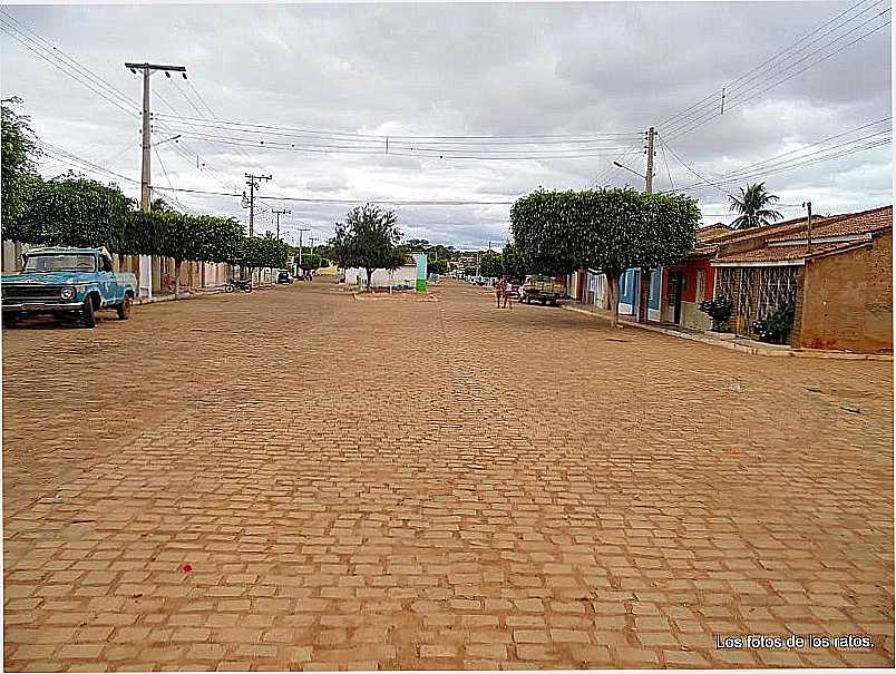 MIRANGABA-BA-POVOADO CANABRAVA-FOTO:LOSFOTOSDERATONUGUAU - MIRANGABA - BA