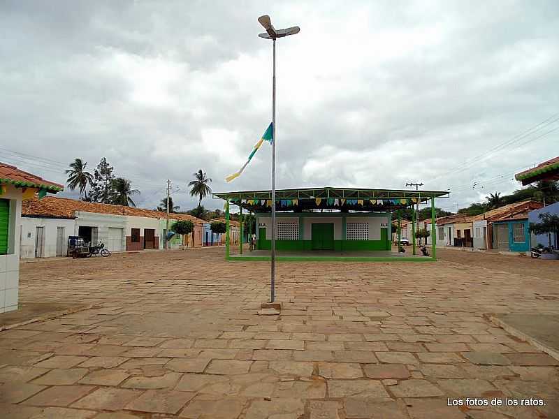 MIRANGABA-BA-PRAA NO POVOADO CANABRAVA-FOTO:LOSFOTOSDERATONUGUAU - MIRANGABA - BA