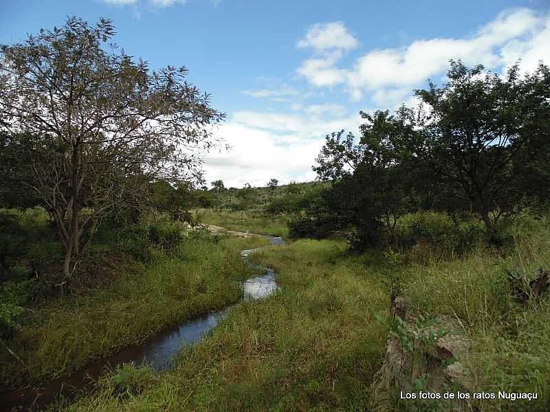 MIRANGABA-BA-RIO SAMBABA-FOTO:LOSFOTOSDERATONUGUAU - MIRANGABA - BA