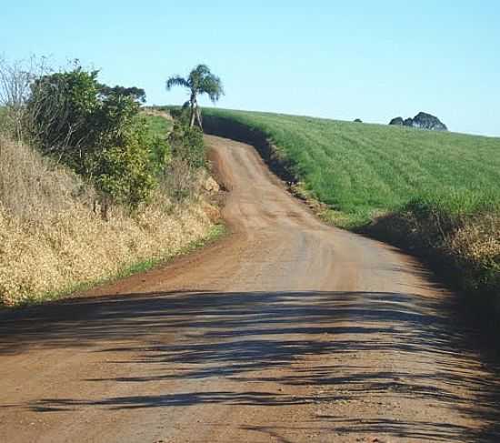 ESTRADA DO INTERIOR-FOTO:AURI BRANDO  - CAMBUINZAL - SC