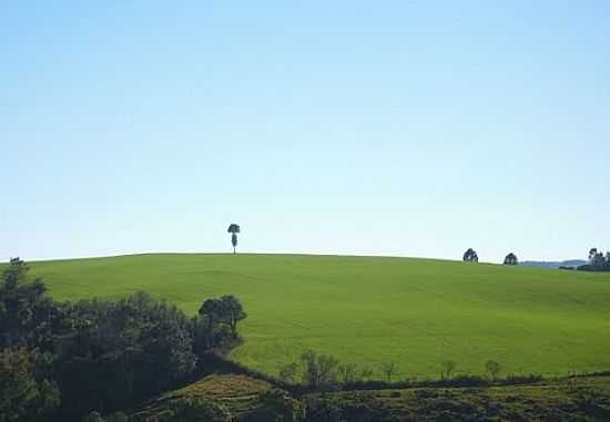 PAISAGEM DA REGIOFOTO:AURI BRANDO  - CAMBUINZAL - SC