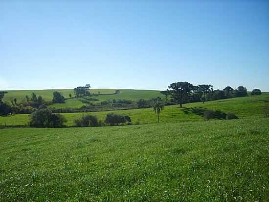 PAISAGEM RURAL-FOTO:AURI BRANDO  - CAMBUINZAL - SC