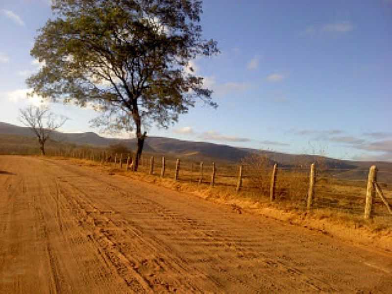 MIRANTE-BA-PAISAGEM NA ESTRADA DE MIRANTE-FOTO:MIRANTE-BAHIA.BLOGSPOT.COM.BR - MIRANTE - BA