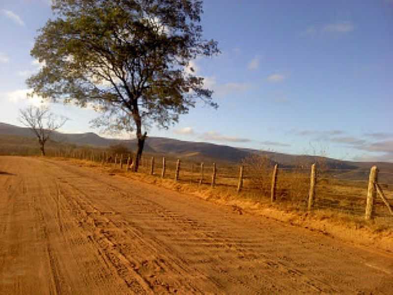 MIRANTE-BA-PAISAGEM NA ESTRADA DE MIRANTE-FOTO:MIRANTE-BAHIA.BLOGSPOT.COM.BR - MIRANTE - BA