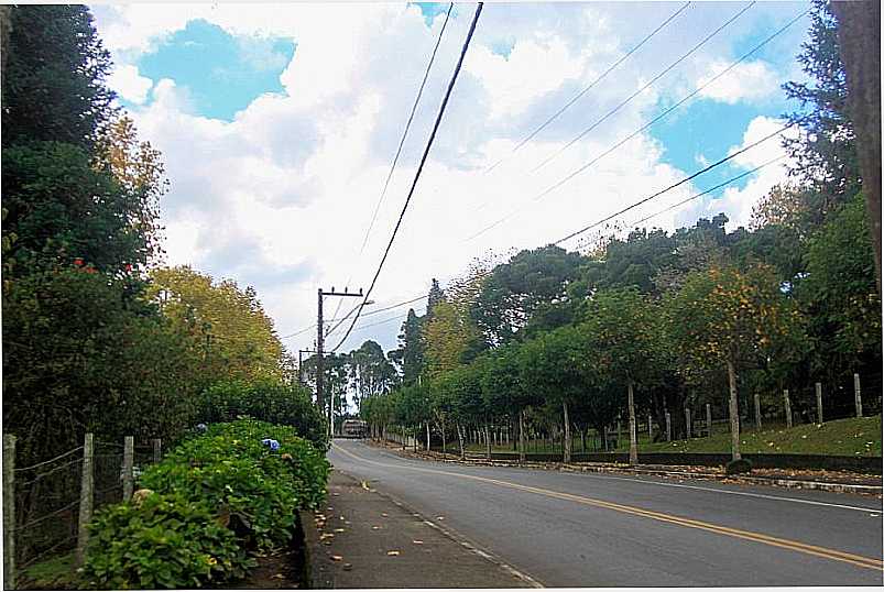 IMAGENS DA CIDADE DE CAMPO ALEGRE - SC - CAMPO ALEGRE - SC