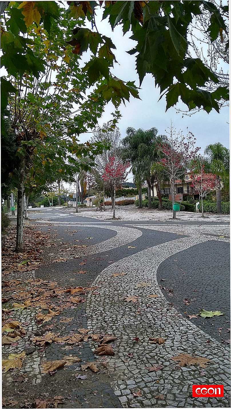 IMAGENS DA CIDADE DE CAMPO ALEGRE - SC - CAMPO ALEGRE - SC