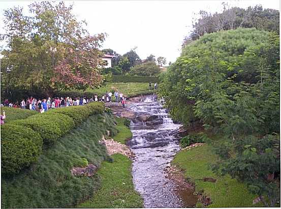 CAMPO ALEGRE, POR ALBA CARDOZO - CAMPO ALEGRE - SC