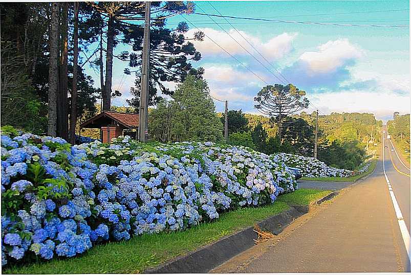 IMAGENS DA CIDADE DE CAMPO ALEGRE - SC - CAMPO ALEGRE - SC