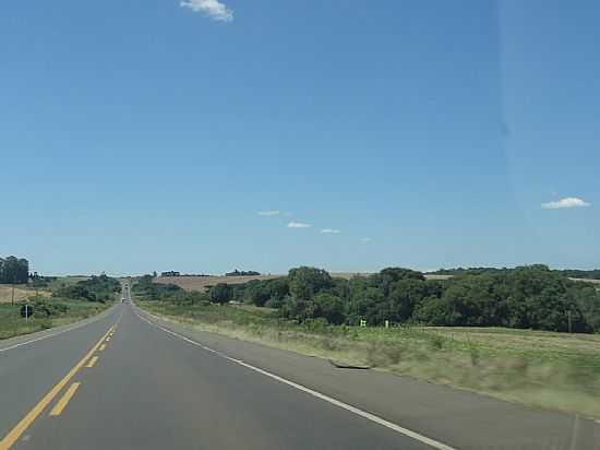 RODOVIA EM CAMPOS NOVOS-FOTO:CLAITON GIRELLI - CAMPOS NOVOS - SC