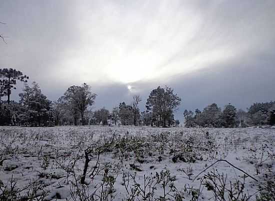 CAMPO COBERTO DE NEVE NA MADRUGADA DE 23/07/2013 EM CANOINHAS-SC-FOTO:JOHNATAN FUSKA LEONCIO - CANOINHAS - SC