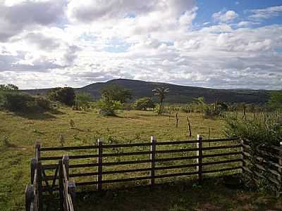 SERRA DO MOCAMBO-FOTO:JOQUINHA BANDIAU  - MOCAMBO - BA