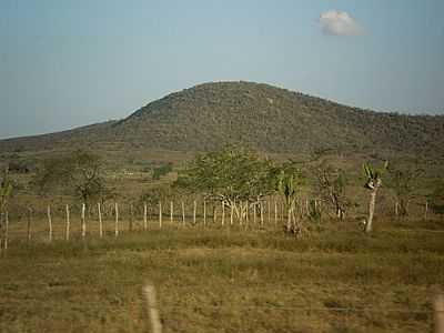 SERRA DO MOCAMBO-FOTO:JOQUINHA BANDIAU  - MOCAMBO - BA