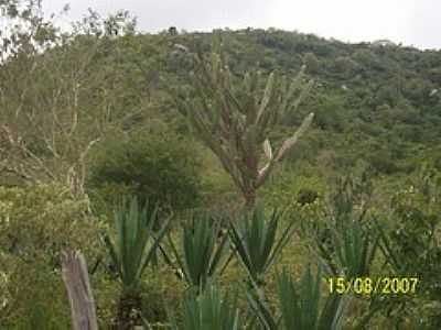 SERRA DO MOCAMBO-FOTO:JOQUINHA BANDIAU  - MOCAMBO - BA