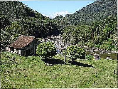 PAISAGEM-FOTO:CARLOS C. NASATO  - CEDRO ALTO - SC