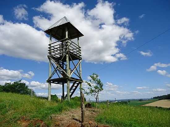 MIRANTE DO UMBU INTERIOR DE CHAPEC-FOTO:GRIGOLO - CHAPEC - SC