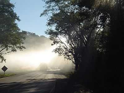 NEBLINA NA ESTRADA POR RDEMARCOR - CORDILHEIRA ALTA - SC