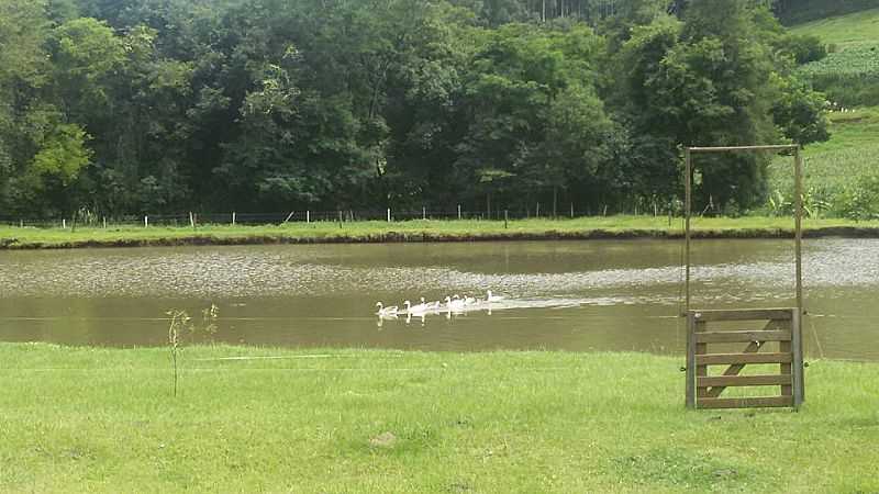 IMAGENS DA CIDADE DE CORONEL FREITAS - SC - CORONEL FREITAS - SC