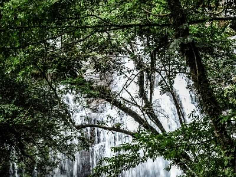 PARQUE NACIONAL BRAO ESQUERDO - CORUP - SC