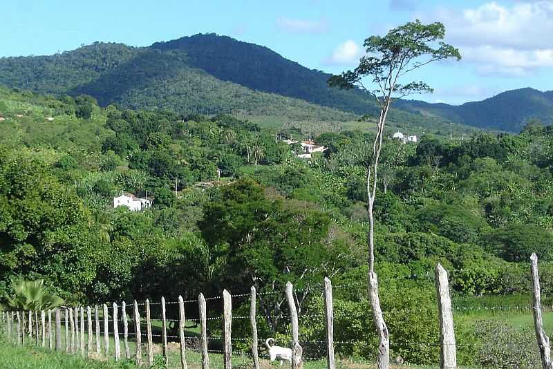 MONTE CRUZEIRO-BA-SERRA DA JIBIA-FOTO:ANTNIO FIGUEIREDO - MONTE CRUZEIRO - BA