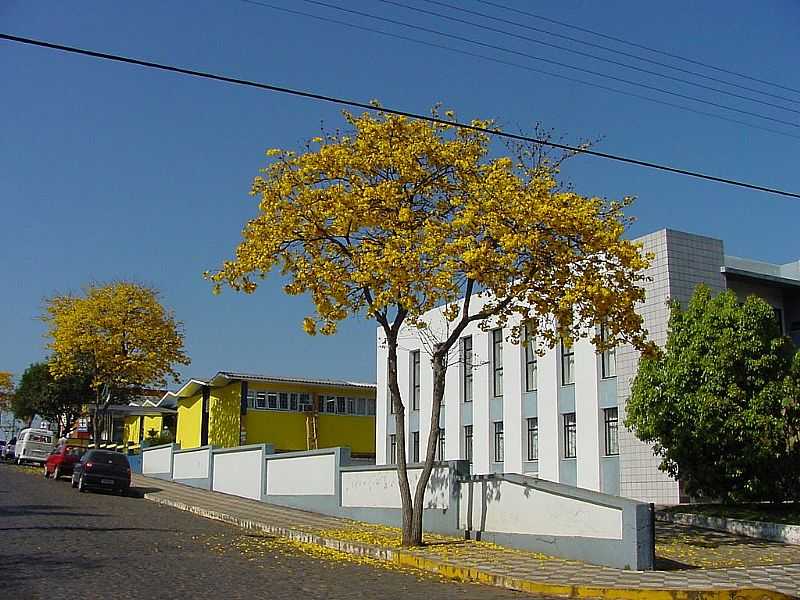 CURITIBANOS-SC-IP AMARELO EM FRENTE AO FRUM-FOTO:WOLNEY CESAR FELIPE - CURITIBANOS - SC