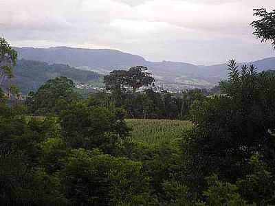 VISTA DA CIDADE-FOTO:CAIOCEZAR  - DALBRGIA - SC