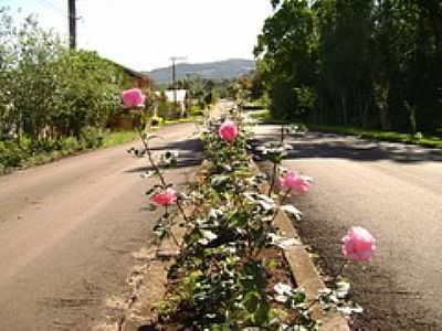 AVENIDA-FOTO:EVANDRINHO_FALABRETT  - ENGENHO VELHO - SC