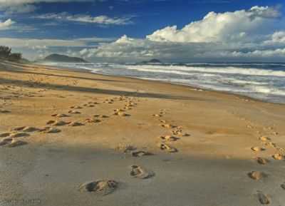 PRAIA DE MOAMBIQUE DO RIO VERMELHO - FLORIANPOLIS, SC, POR GERMANO SCHR - FLORIANPOLIS - SC