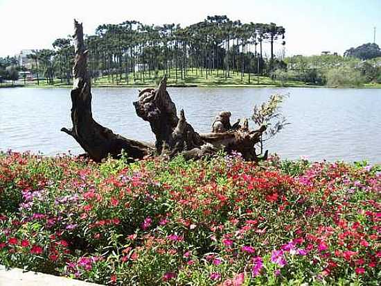 LAGO DAS ARAUCRIAS EM FRAIBURGO-FOTO:THIAGO DAMBROS2 - FRAIBURGO - SC