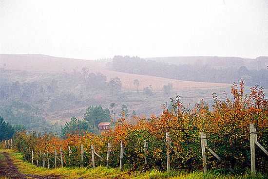 MAS EM FRAIBURGO-FOTO:FERNANDO STANKUNS - FRAIBURGO - SC