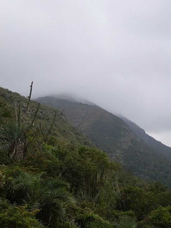 NEBLINA NO ALTO DA SERRA EM MONTE SANTO-BA-FOTO:JORGE LN - MONTE SANTO - BA