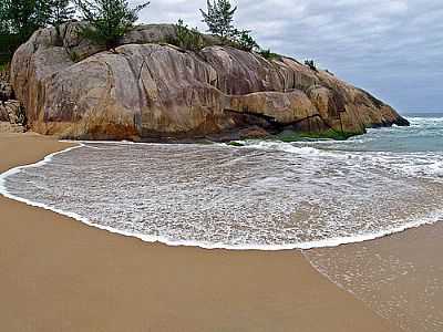 PRAIA DE GAMBOA FOTO
POR JOSE IRION NETO  - GAROPABA - SC