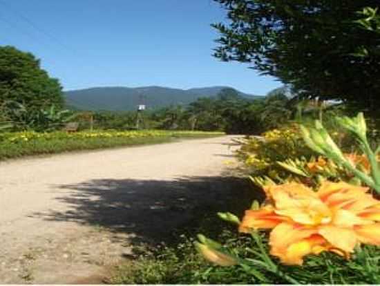 ESTRADA OTTO RODER EM GARUVA-FOTO: SITE PREFEITURA MUNICIPAL DE GARUVA - GARUVA - SC