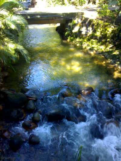  POR GERALDINO GOMES DO CARMO - GARUVA - SC