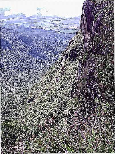 MONTE CRISTO POR AMILCAR APPEL - GARUVA - SC