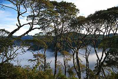 SERRA DO CORVO BRANCO-FOTO:ANTONELLO FOTOS  - GRO PAR - SC