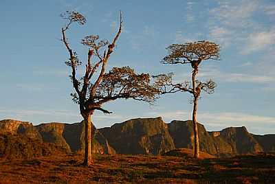 SERRA DO CORVO BRANCO-FOTO:ANTONELLO FOTOS  - GRO PAR - SC