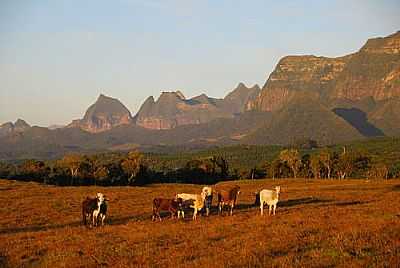 SERRA DO CORVO BRANCO-FOTO:ANTONELLO FOTOS  - GRO PAR - SC